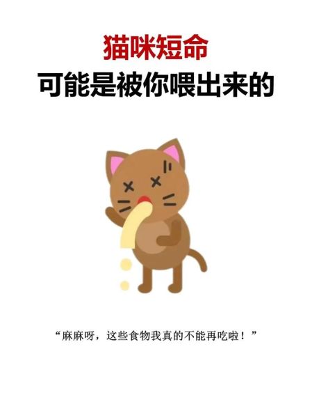 猫能不能吃葡萄柚,猫能不能吃葡萄糖