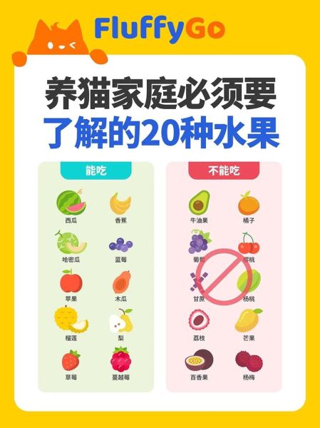 猫能吃的20种水果,猫能吃火龙果吗白心的