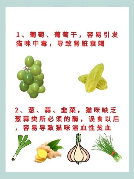 猫能吃葡萄吗干,宠物猫能吃葡萄吗