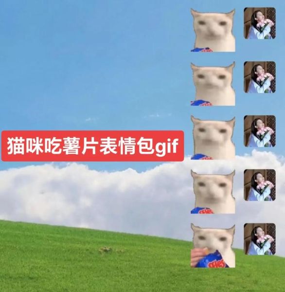 猫能吃薯片吗番茄味的,猫能吃薯片吗吗