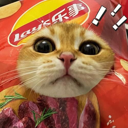 猫能吃薯片吗番茄味的,猫能吃薯片吗吗