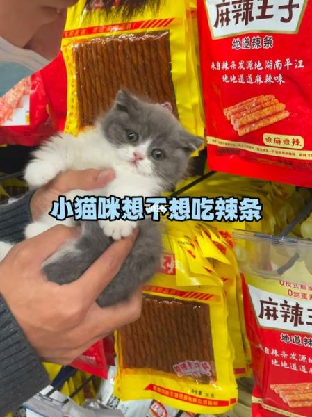 猫能吃辣条吗会有事吗,猫能吃辣条鱼