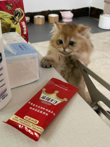 猫能吃辣条吗会有事吗,猫能吃辣条鱼