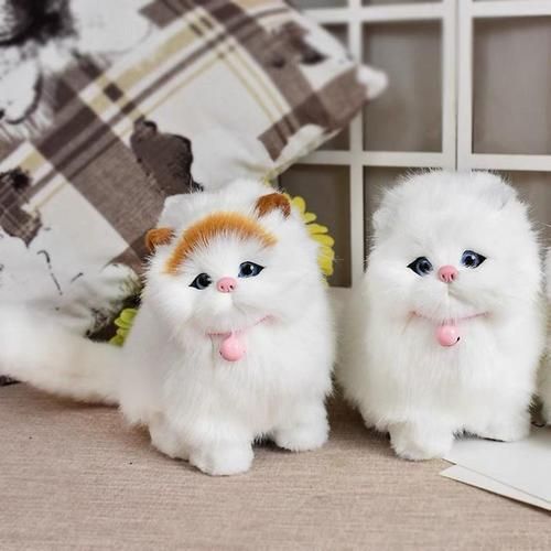 猫能看见什么颜色的玩具,猫能看见什么颜色会吓