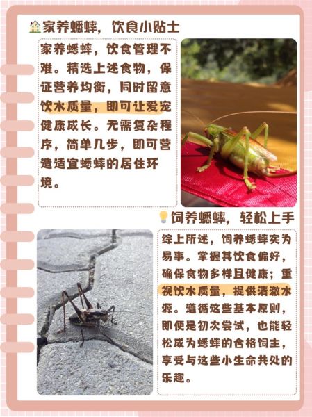 蟋蟀吃什么东西作为食物,蟋蟀吃什么东西生存