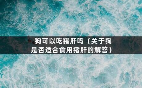适合狗长期吃的主食,狗狗可以吃猪肝吗熟的