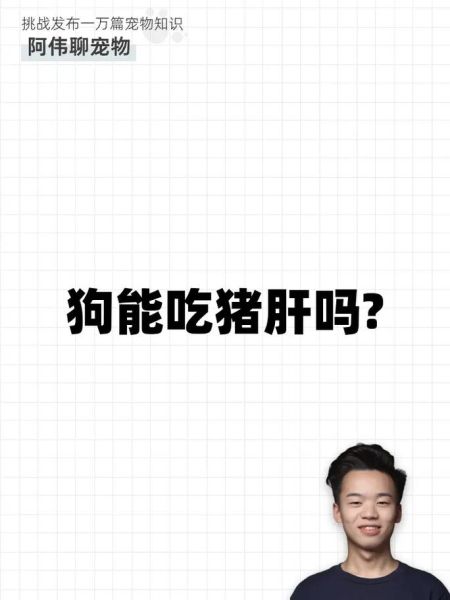 适合狗长期吃的主食,狗狗可以吃猪肝吗熟的