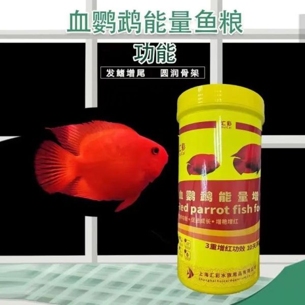 鹦鹉鱼的饲料锦鲤鱼能吃吗,锦鲤吃什么食物比较好