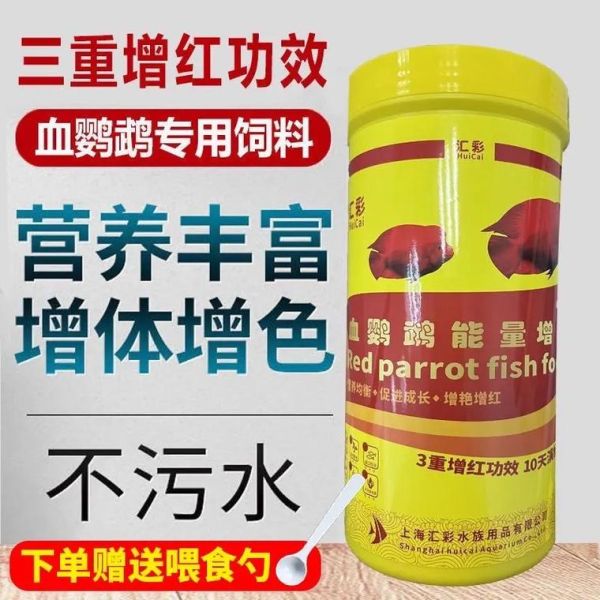 鹦鹉鱼的饲料锦鲤鱼能吃吗,锦鲤吃什么食物比较好