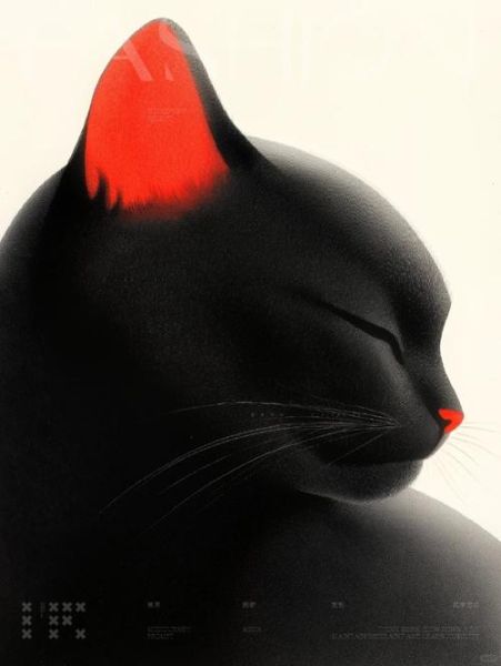 黑白猫是什么品种,聪明吗,黑白猫是什么品种的猫图片