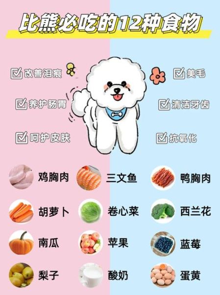 比熊一天吃几顿最合适?不同年龄段的喂养建议