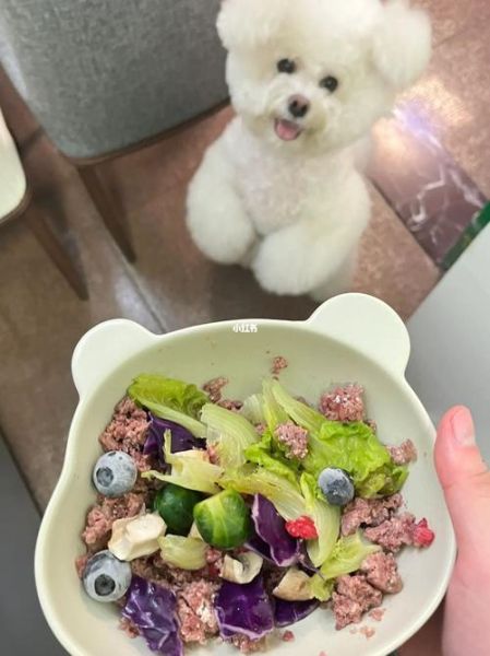 比熊能吃馒头吗?专家解答狗狗饮食安全问题