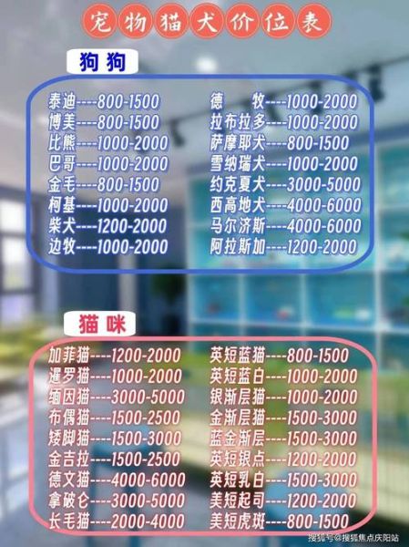 比熊一般多少钱一只?最新价格分析及购买指南
