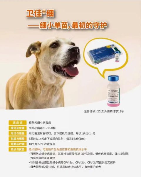 卫佳疫苗:预防犬瘟热、细小病毒的最佳选择