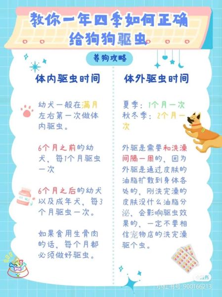 猫咪驱虫疫苗全解析:从幼猫到成猫的接种计划