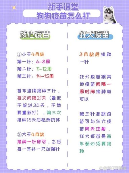 养狗疫苗全解析:不同疫苗种类及接种时间表