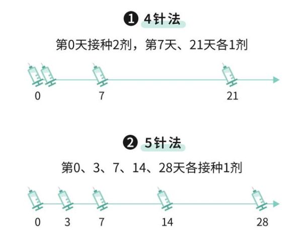 狂犬疫苗打哪?不同年龄接种部位详解