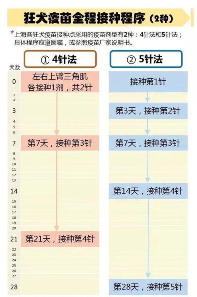 狂犬疫苗打哪?不同年龄接种部位详解