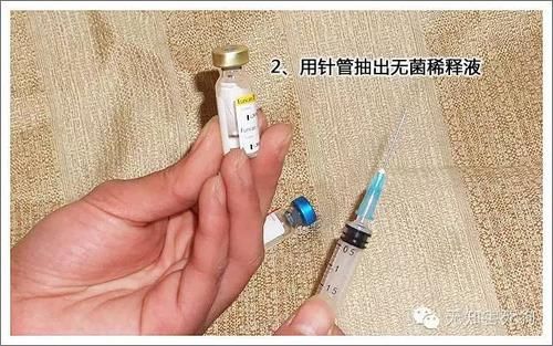 狗狗打疫苗打哪里?常见疫苗注射部位解析
