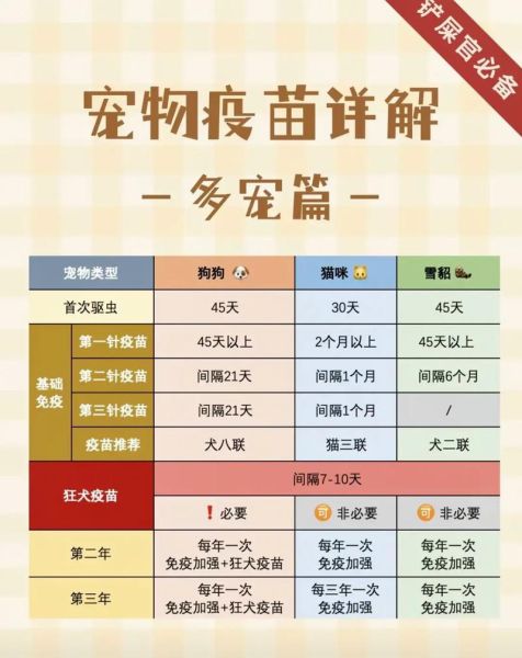 狗疫苗打几针?幼犬疫苗接种完整指南