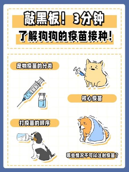 狗狗疫苗打几针?了解狗狗免疫接种的完整步骤
