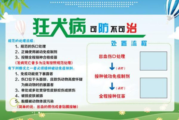 宠物打狂犬疫苗:预防狂犬病的有效方法