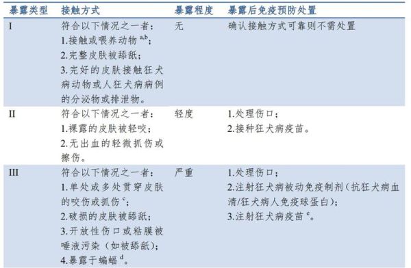宠物打狂犬疫苗:预防狂犬病的有效方法