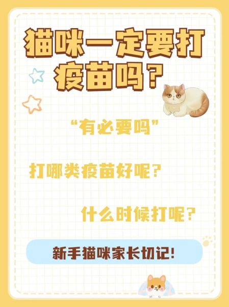 为什么不建议去宠物店打疫苗?专家提醒注意事项