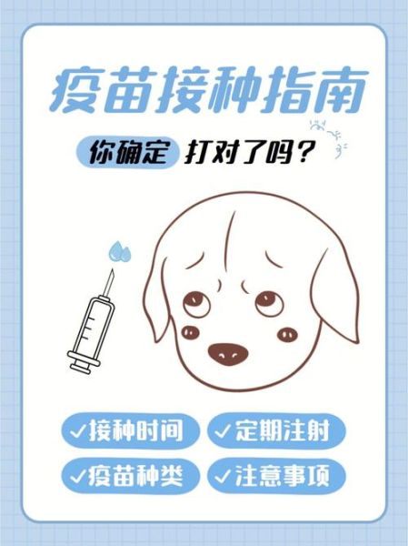 为什么不建议去宠物店打疫苗?专家提醒注意事项