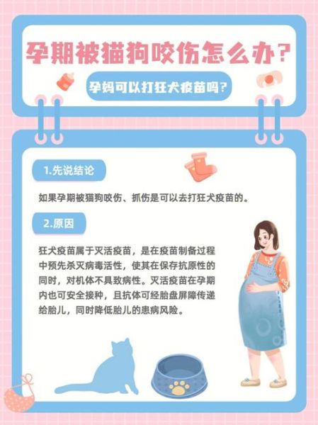 被猫狗咬伤怎么办?深圳狂犬疫苗接种及应急处理攻略