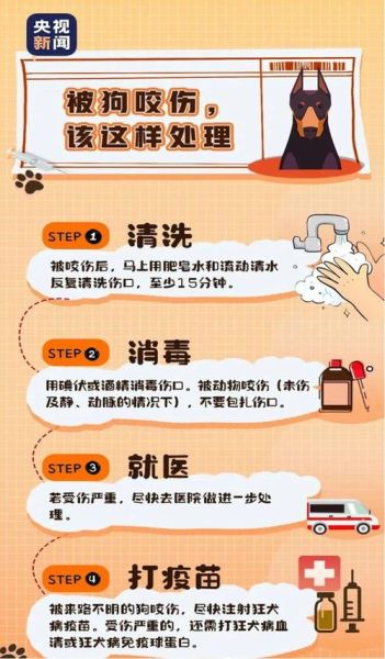 被猫狗咬伤怎么办?深圳狂犬疫苗接种及应急处理攻略