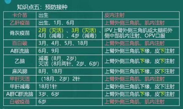 疫苗接种部位知识大全:如何选择最佳疫苗注射部位