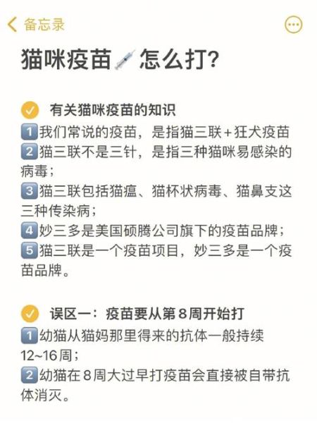 猫咪疫苗接种指南:打几针最合适?