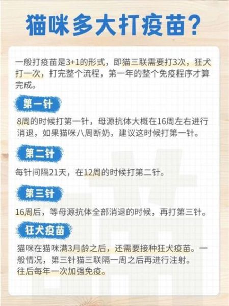 猫疫苗接种时间解析:幼猫几个月开始接种最合适