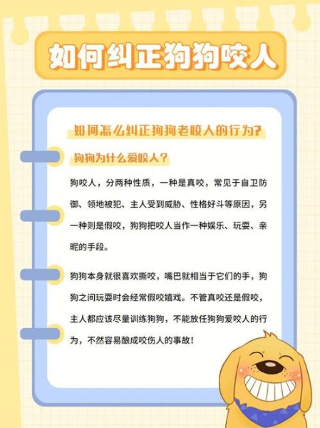 狗不打疫苗的严重后果:如何保护狗狗免受致命传染病威胁