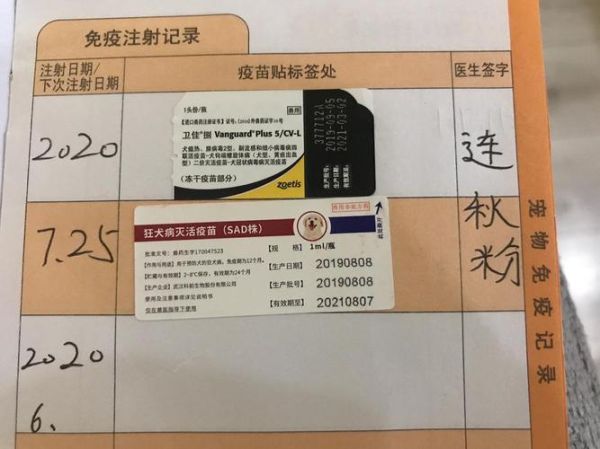 狗狗在哪打疫苗最安全?选择宠物医院、商店还是畜牧站