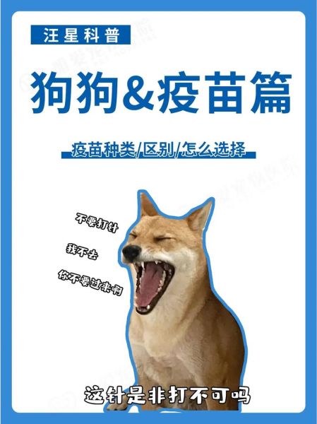 狗狗必须打疫苗吗?看完这篇文章你就明白