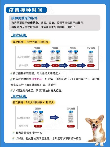 狗狗必须打疫苗吗?看完这篇文章你就明白