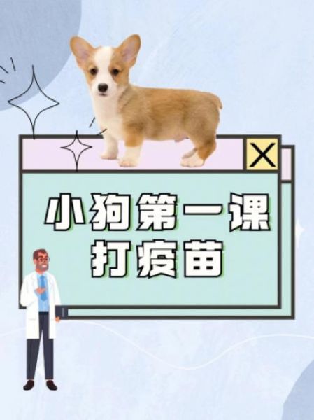 狗狗细小疫苗接种指南:如何正确预防犬细小病毒
