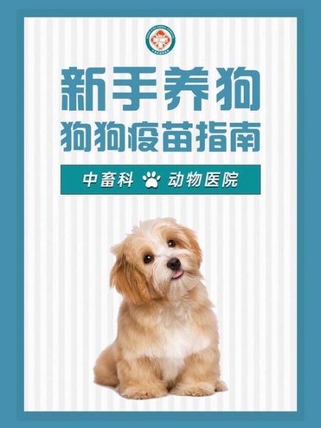狗狗细小疫苗接种指南:如何正确预防犬细小病毒