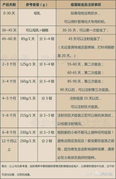 小狗狂犬疫苗接种时间及注意事项,你知道吗?