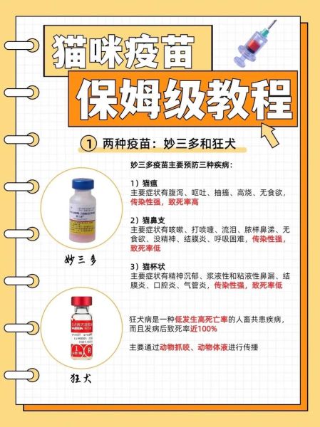 猫咪打狂犬疫苗的重要性及接种注意事项