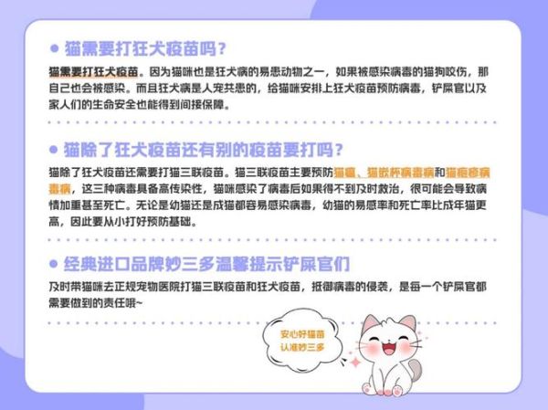 猫咪打狂犬疫苗的重要性及接种注意事项