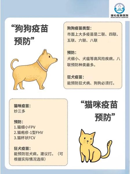 宠物疫苗接种全指南:如何为狗狗猫咪选择合适疫苗