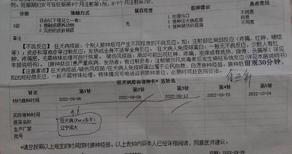 国产狂犬疫苗与进口疫苗有什么区别?全面解析