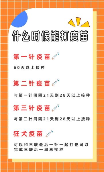 猫打疫苗后多久能洗澡?正确时间与注意事项