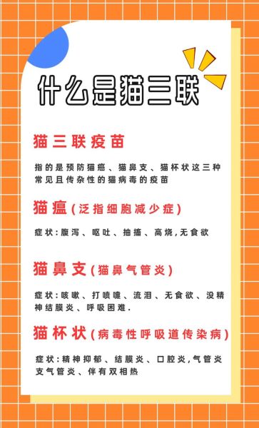 猫打疫苗后多久能洗澡?正确时间与注意事项