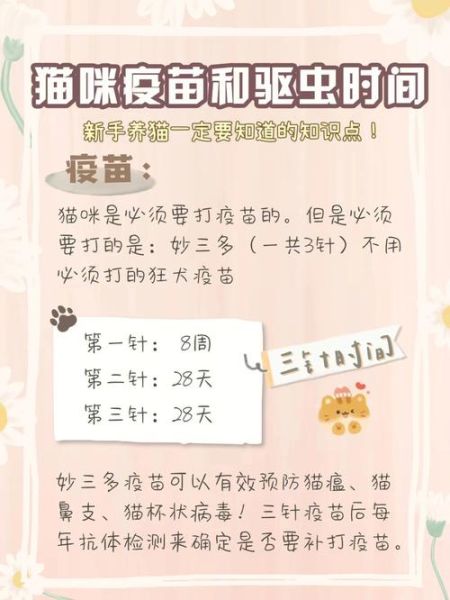 猫疫苗接种地点推荐:哪里为最佳?