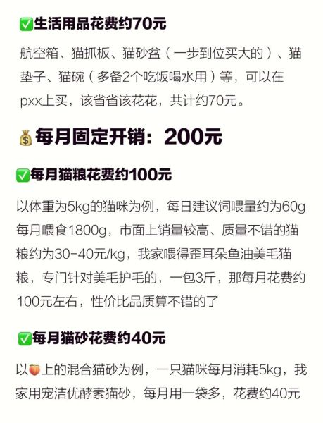 猫的疫苗多少钱?2024年价格大揭秘