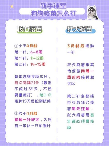 狗狗多久打疫苗?不同阶段疫苗接种时间表解析